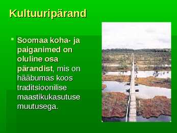 Soomaa rahvuspark #7