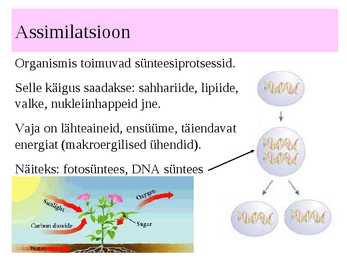 Biokeemia - Metabolism #5