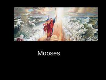 Mooses