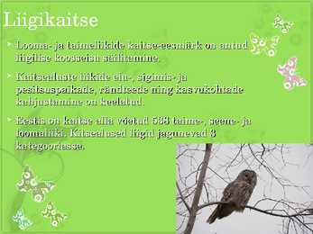 Keskkonnakaitse powerpoint #22