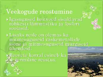 Keskkonnakaitse powerpoint #6