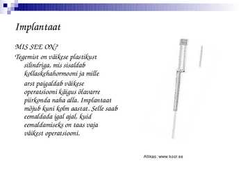 Nimetu #13