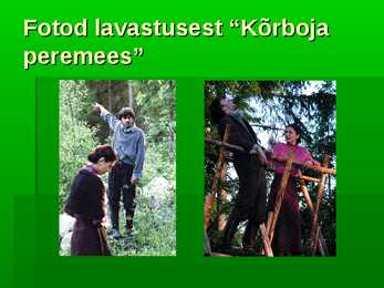 Tammsaare #12