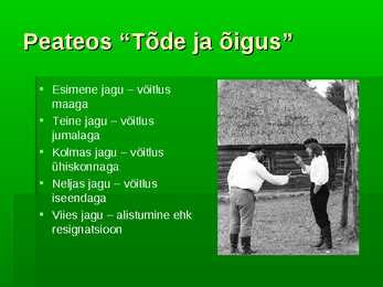 Tammsaare #14