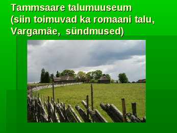 Tammsaare #16
