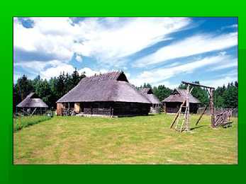 Tammsaare #17