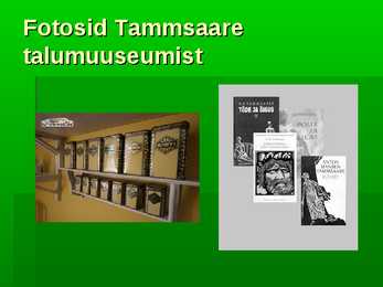 Tammsaare #20