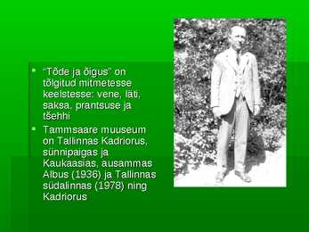 Tammsaare #21