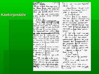 Tammsaare #28
