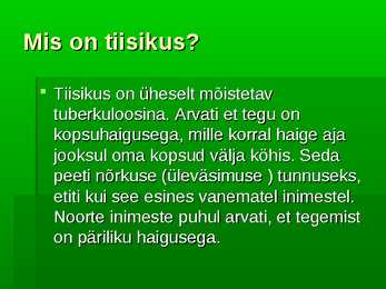 Tammsaare #6