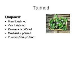 Istandused-puuvilja- ja marjaaed #3
