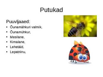 Istandused-puuvilja- ja marjaaed #4