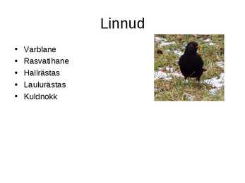 Istandused-puuvilja- ja marjaaed #6