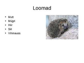 Istandused-puuvilja- ja marjaaed #7