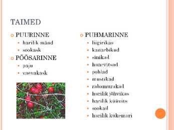 Raba ökosüsteem #5