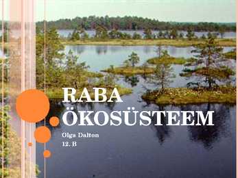 Raba ökosüsteem