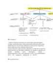 Hoidistamine #2