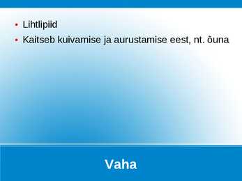 Ainete põhimõisted #8