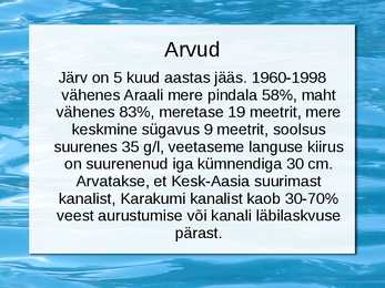 Araali meri #13