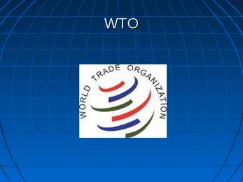 WTO-IMF-G8 #2