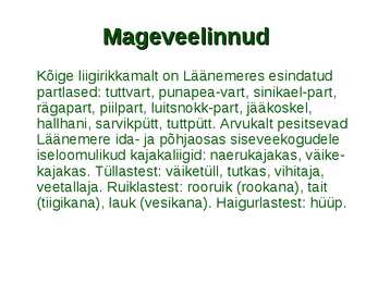 Läänemere linnud #16
