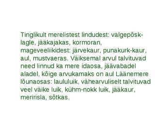 Läänemere linnud #19