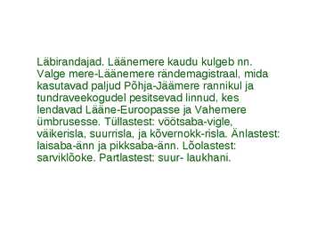 Läänemere linnud #23