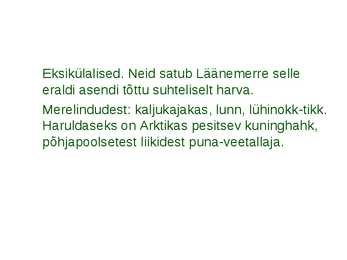 Läänemere linnud #24