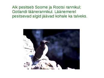 Läänemere linnud #6