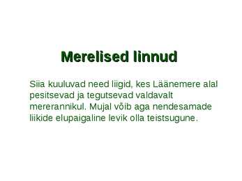 Läänemere linnud #7