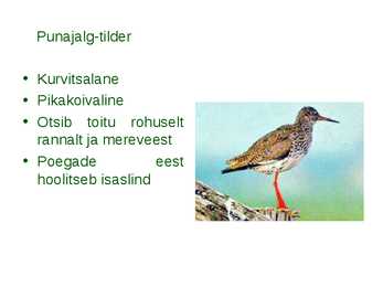 Läänemere linnud #10