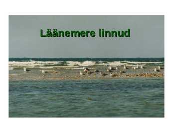 Läänemere linnud