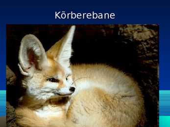 Kõrbe slideshow #11