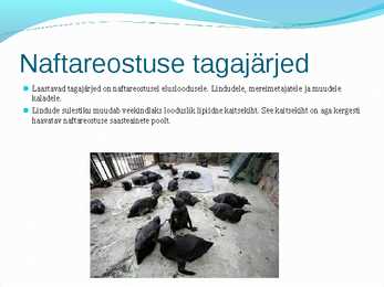 Põhjavee reostus ja naftareostus #5