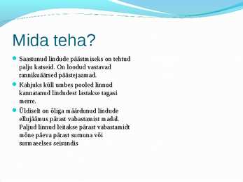 Põhjavee reostus ja naftareostus #7
