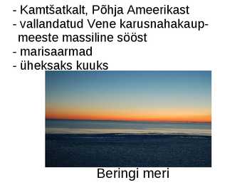 Vitus Jonassen Bering #7
