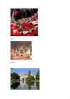 Buckhingam Palace #3
