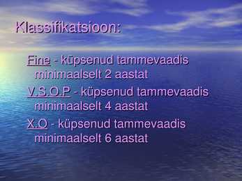 Brändy power point #7