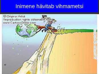 Globaalprobleem-Amazonase vihmametsade hävimine #5