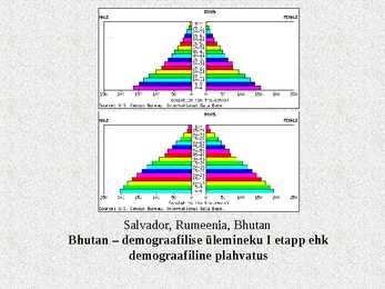 Demograafilise siirde teooria #24