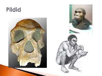 Homo habilis ehk osav inimene #6