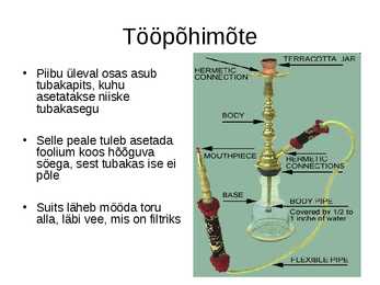 Vesipiip ja selle mõju tervisele #3