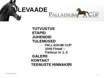 Powerpoint esitlus #2