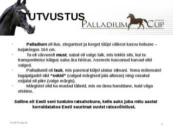 Powerpoint esitlus #3