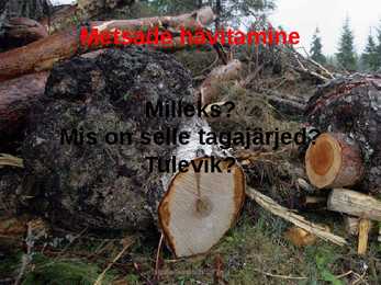 Urbaniseerumine ja sellega kaasnevad keskkonnaprobleemid #8