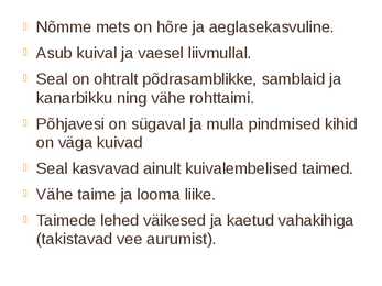 Nõmme mets #2