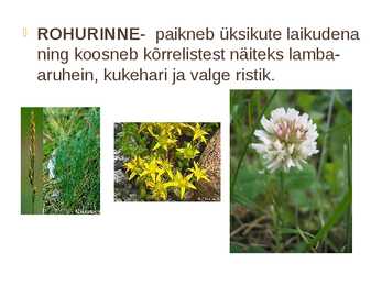 Nõmme mets #6