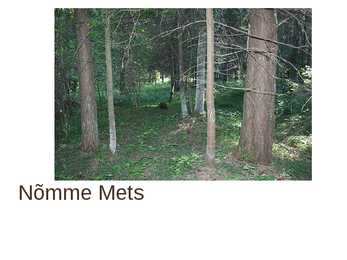 Nõmme mets
