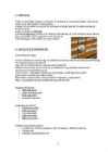 Arhiiv referaat #4