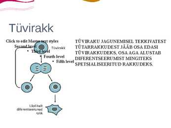 Tüvirakkude kasutamine haiguste raviks #2
